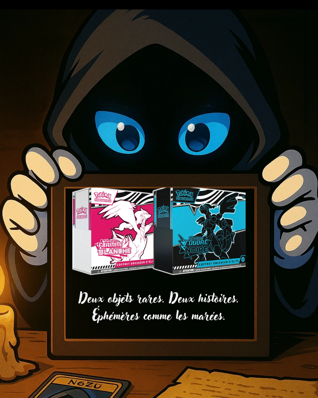 Flammes Jumelles – Duo Collector (Pokémon)